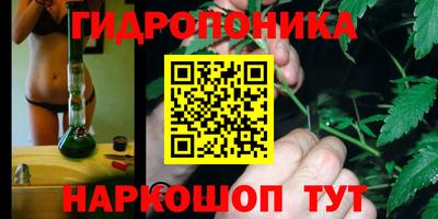 МДМА Можга