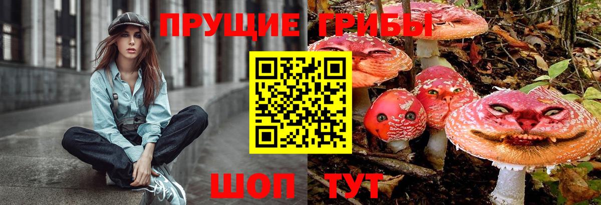 Галлюциногенные грибы Cubensis  Вход с VPN  Владикавказ 